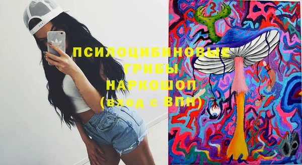 первитин Новодвинск