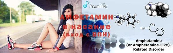 гашик Новозыбков